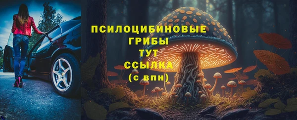 марки lsd Инсар