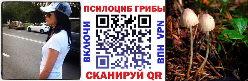 Псилоцибиновые грибы GOLDEN TEACHER  Купить закладки  Новомичуринск 