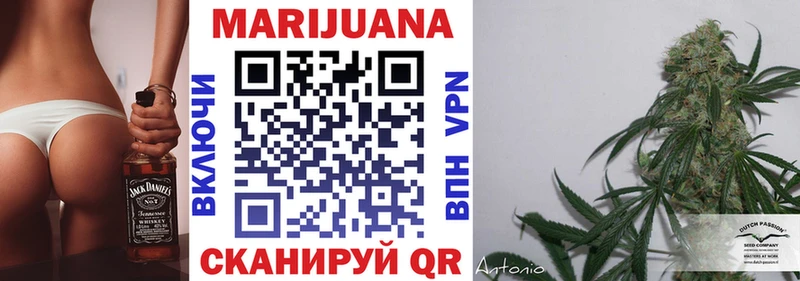 Купить где  Новомичуринск  Бошки Шишки ГИДРОПОН 